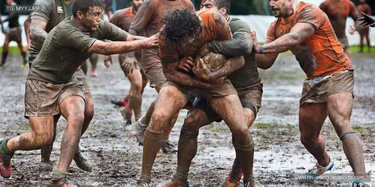 📱高清直播,实时追踪!错过瞬间,后悔一年🎥